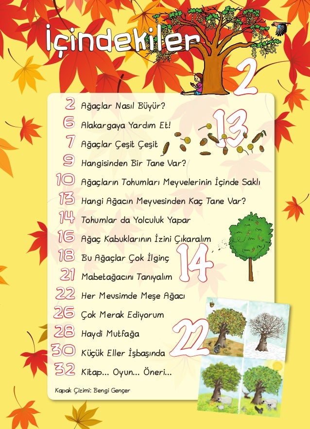 Ağaçlar Nasıl Büyür Ağaçlar Nasıl Büyür